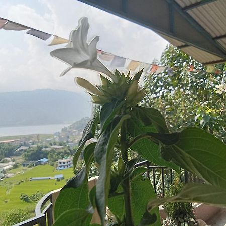 Gautam Garden Guest House Pokhara Buitenkant foto