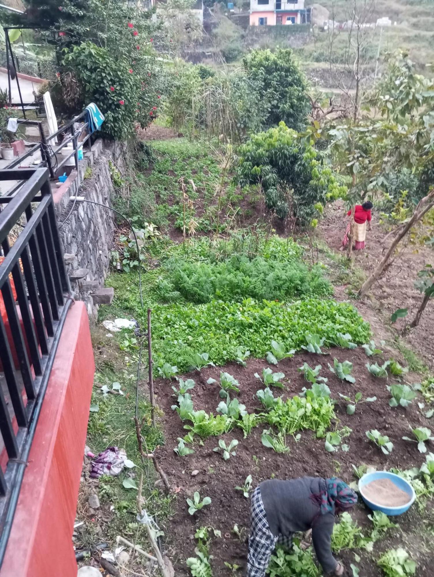 Gautam Garden Guest House Pokhara Buitenkant foto