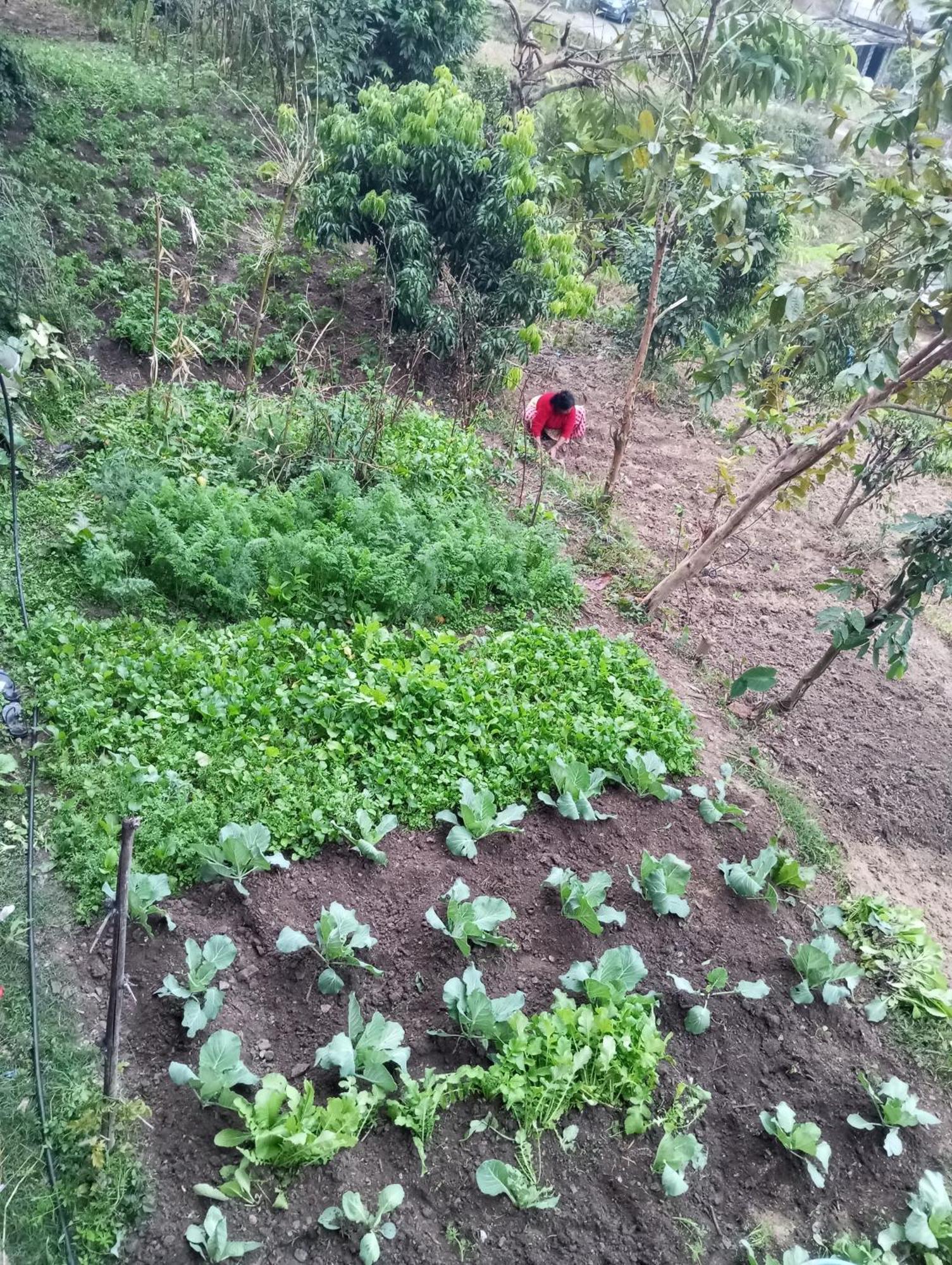 Gautam Garden Guest House Pokhara Buitenkant foto