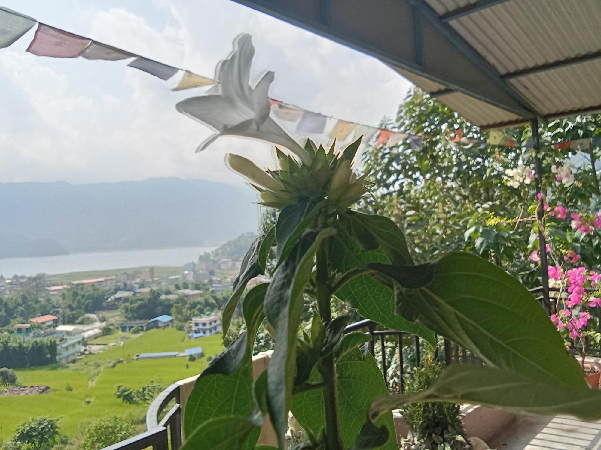 Gautam Garden Guest House Pokhara Buitenkant foto