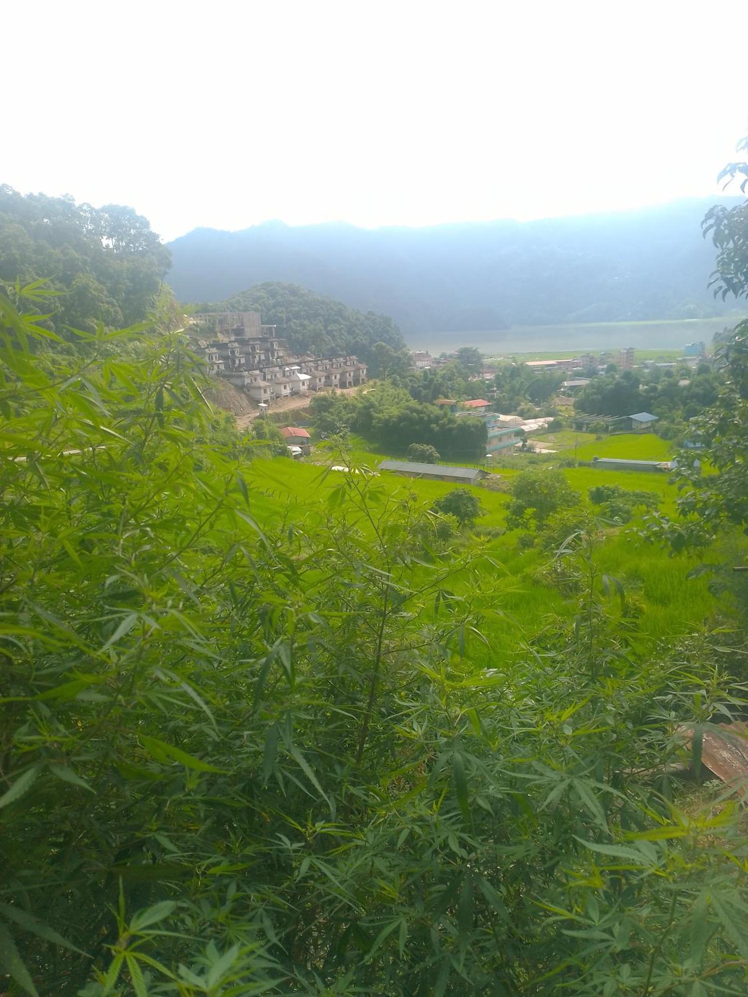 Gautam Garden Guest House Pokhara Buitenkant foto